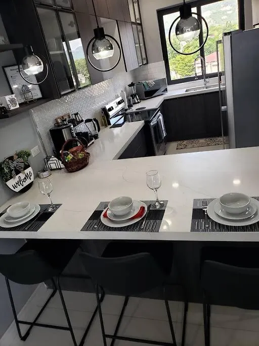 Ferienwohnung Metz Manor Kingston 0*,